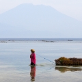 Een vrouw oogst zeewier op Nusa Lembongan, een eilandje voor de kust van Bali. Op de achtergrond de vulkaan Gunung Agung.