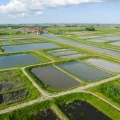 Volgelmeerpolder, voormalige vuilnisbelt in Waterland, Noord-Holland